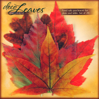 Deco Parchment Leaves